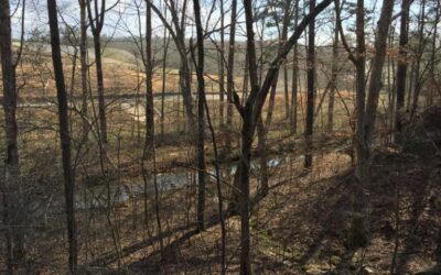 January 2016 Construction Photos