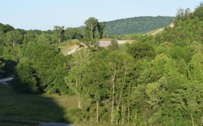 May 2016 Construction Photos